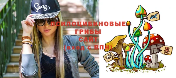 твердый Алексин