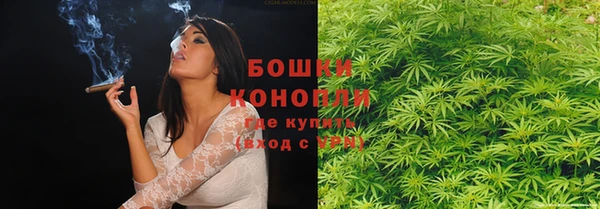 spice Алзамай