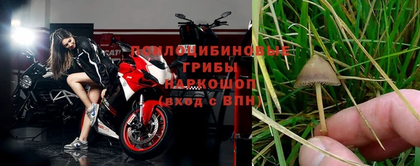 spice Алзамай