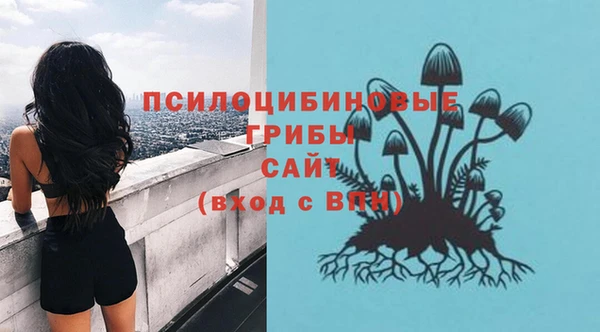 spice Алзамай