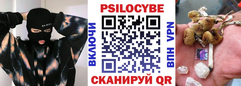 где купить наркоту Глазов Псилоцибиновые грибы Psilocybe